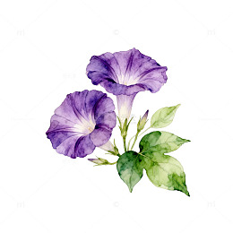 水彩蓝紫色花卉植物插画