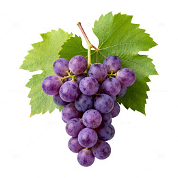 紫色葡萄新鲜水果特写