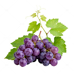 紫色葡萄新鲜水果特写