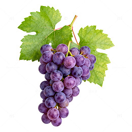 紫色葡萄串特写