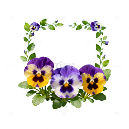 清新自然三色堇花环装饰图