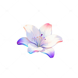 渐变色彩花朵插画