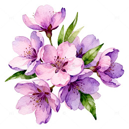 水彩花卉插画设计元素