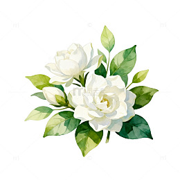 水墨风格栀子花艺术插画