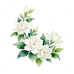 水彩花卉装饰图案