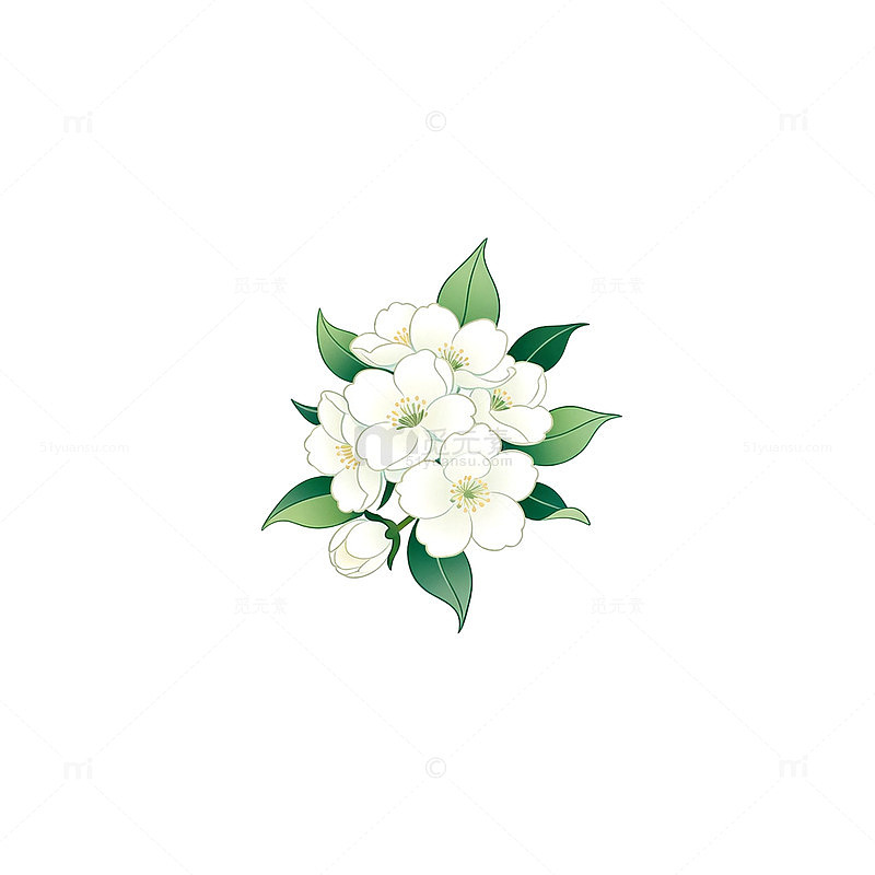 淡雅白花插画设计元素