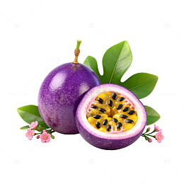 紫百香果特写片