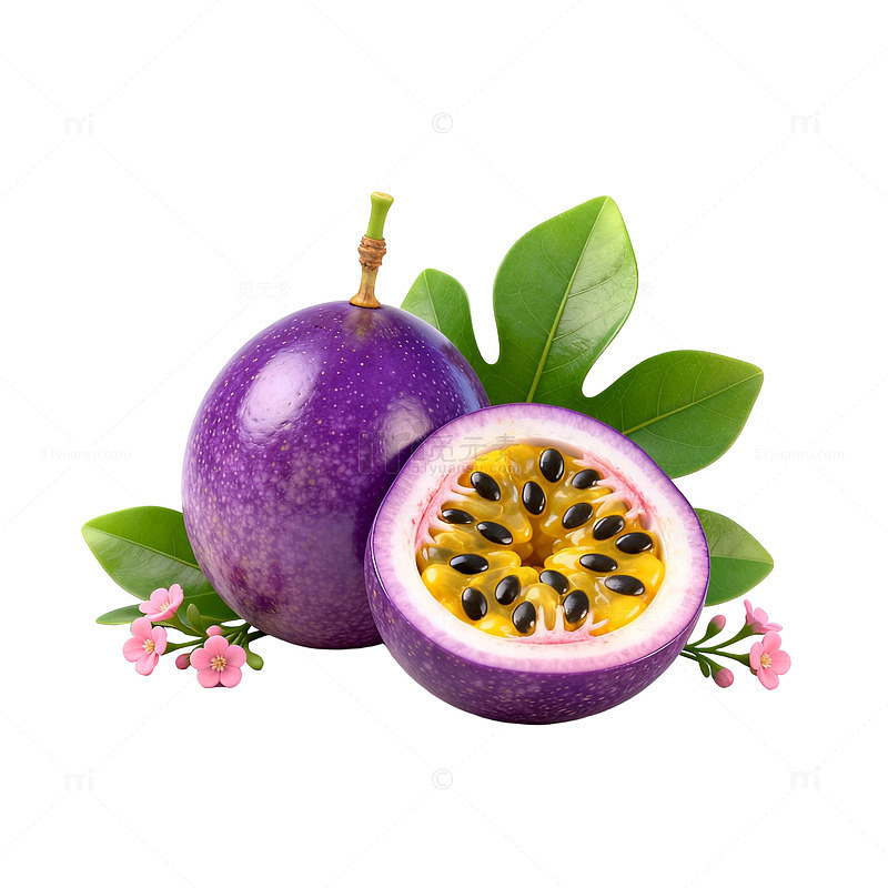 紫百香果特写片