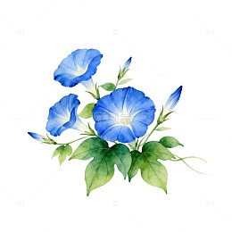 水彩蓝花盛开插画素材