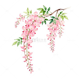 水彩粉色花卉装饰图案