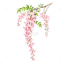 粉色垂吊花卉插画素材