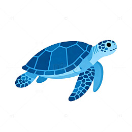 卡通海龟插图