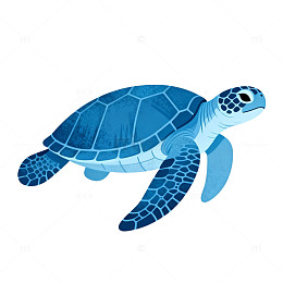 卡通海龟插画素材