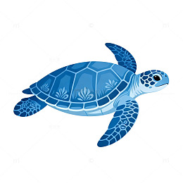 蓝色海龟卡通插画