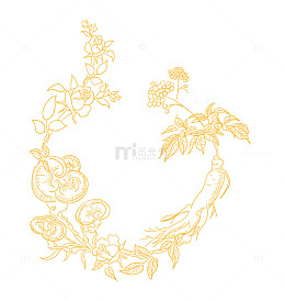 金色线描花卉环状图案