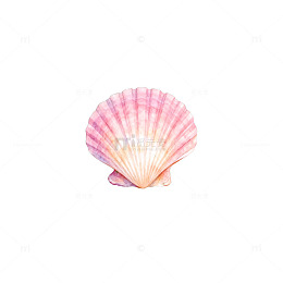 渐变贝壳插画