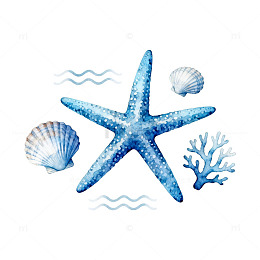 海洋风蓝色海星贝壳插画
