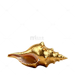 金色海螺艺术品