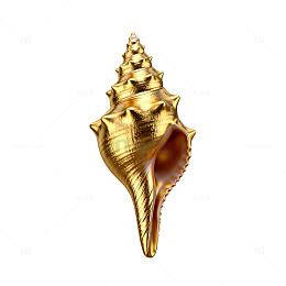 金色海螺装饰品