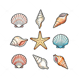 海洋贝壳插画设计素材