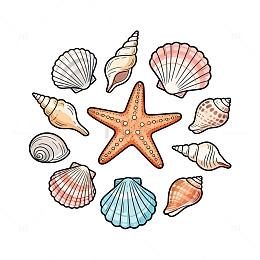 贝壳卡通图案插画设计素材