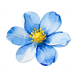 水彩蓝花植物插画