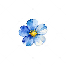 水彩蓝花清新装饰图案