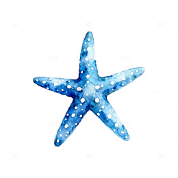 蓝色水彩海星插画素材