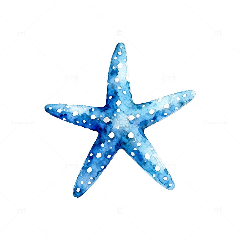 蓝色水彩海星插画素材