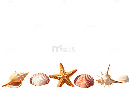 海滩贝壳风景图