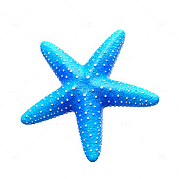 蓝色海星海洋风装饰物