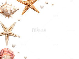 海滨风情贝壳海星装饰图