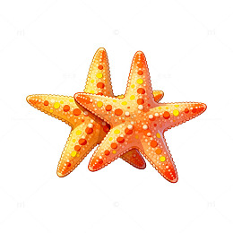 海边风情海星插画