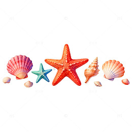 海洋风情贝壳海星装饰图案
