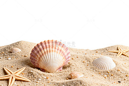 海滩贝壳星形装饰素材