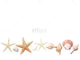 夏日海滩贝壳星图