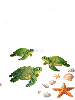 海滩海龟贝壳插画