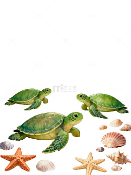 海龟沙滩风景卡通插画