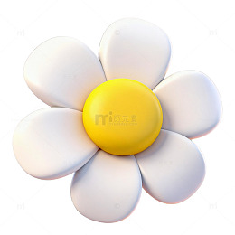 简约风格白色雏菊图片