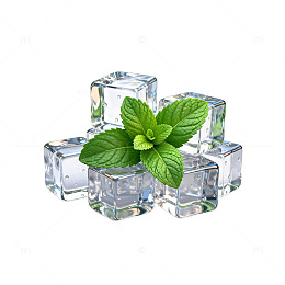 清新薄荷冰块组合插画