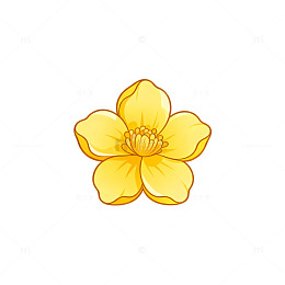 卡通风格黄花插画