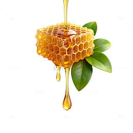 蜂巢蜂蜜绿叶装饰图案