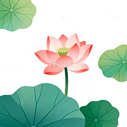 卡通荷花插画设计元素
