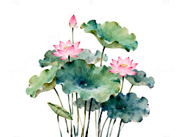 水墨荷花水墨画