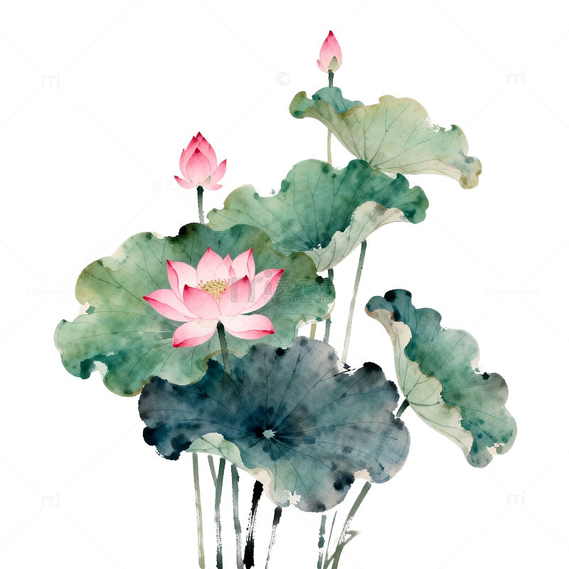 水墨荷花国画艺术装饰画