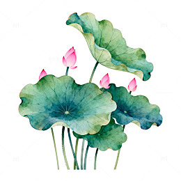水彩荷花艺术插画设计元素
