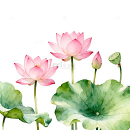 水彩荷花装饰画设计素材