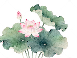 水墨荷花国画风格装饰画