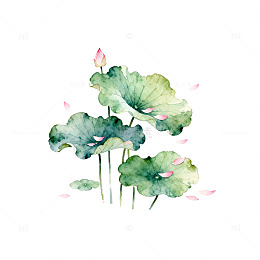 水彩荷花插画