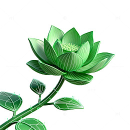 绿色莲花艺术插画